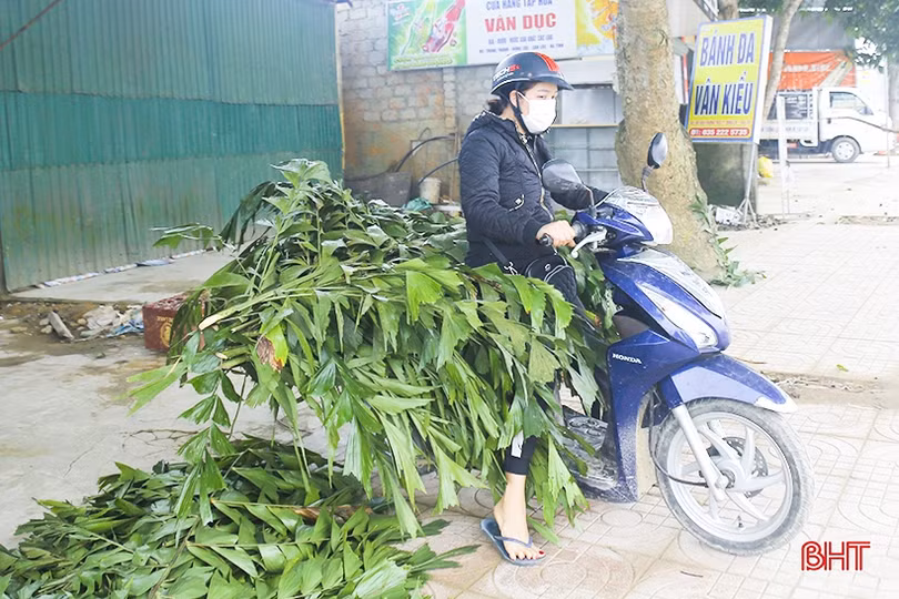 Cây tre, lá đùng đình làm cây nêu được giá ngày cận tết