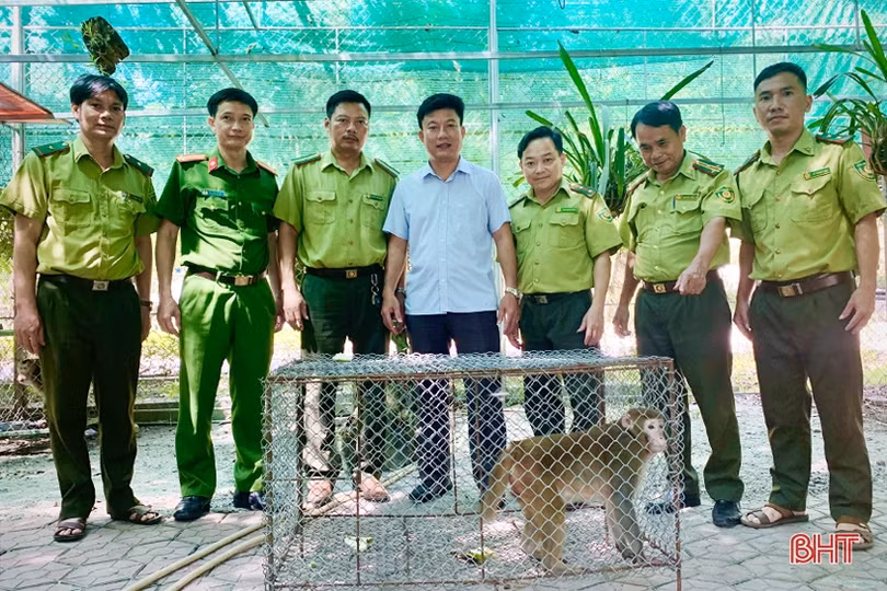 Vườn Quốc gia Vũ Quang tích cực bảo vệ trung tâm đa dạng sinh học bậc nhất Việt Nam