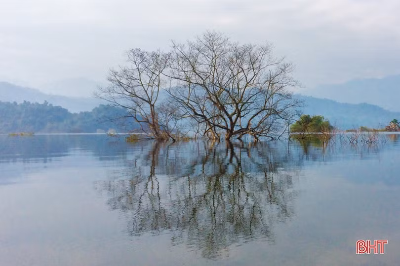 Vườn Quốc gia Vũ Quang tích cực bảo vệ trung tâm đa dạng sinh học bậc nhất Việt Nam