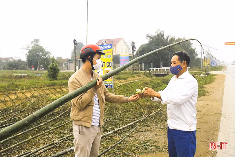 Cây tre, lá đùng đình làm cây nêu được giá ngày cận tết