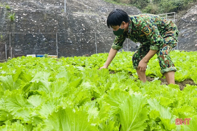Xuân sớm trên “mắt đảo” Sơn Dương
