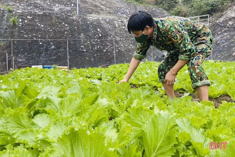 Xuân sớm trên “mắt đảo” Sơn Dương