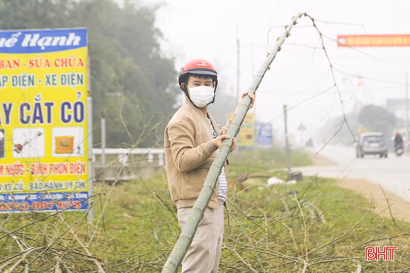 Cây tre, lá đùng đình làm cây nêu được giá ngày cận tết