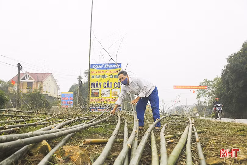 Cây tre, lá đùng đình làm cây nêu được giá ngày cận tết