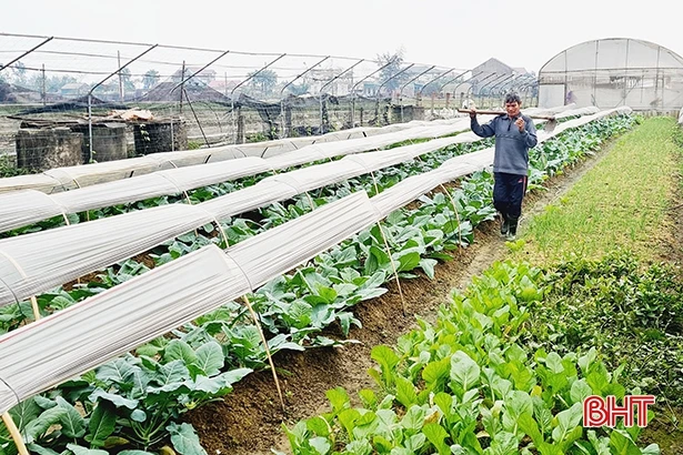 Náo nức tháng Chạp