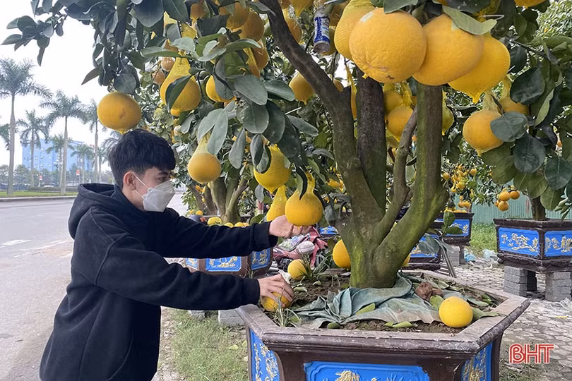 Chuyên gia dự báo như thế nào về thời tiết Hà Tĩnh dịp tết Nhâm Dần?