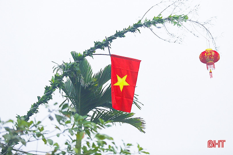 Cây tre, lá đùng đình làm cây nêu được giá ngày cận tết ảnh 1 Cây tre, lá đùng đình làm cây nêu được giá ngày cận tết