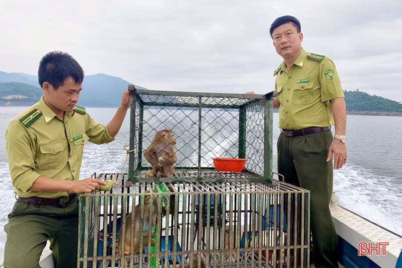 Vườn Quốc gia Vũ Quang tích cực bảo vệ trung tâm đa dạng sinh học bậc nhất Việt Nam
