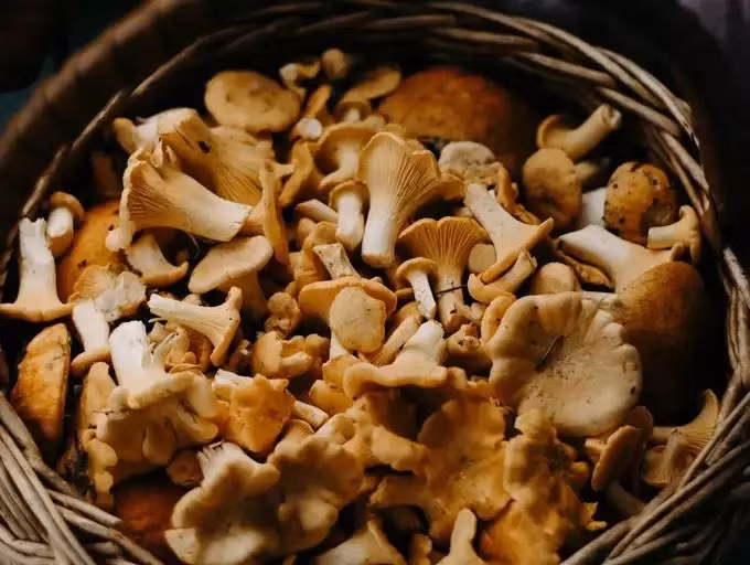 9 thực phẩm hot nhất năm 2022, tín đồ ẩm thực nào cũng nên biết