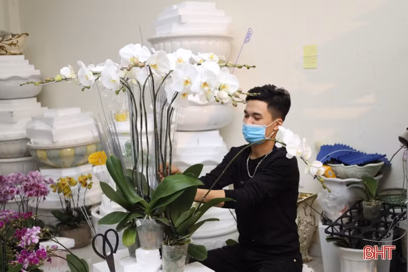 Muôn sắc lan hồ điệp “xuống phố” đón tết Nhâm Dần