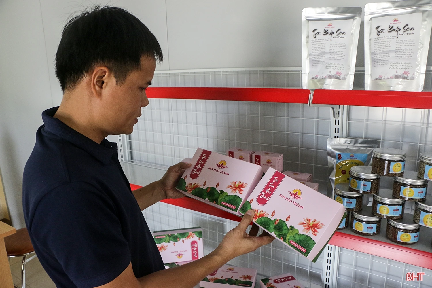 Thành Sen trong nắng mới