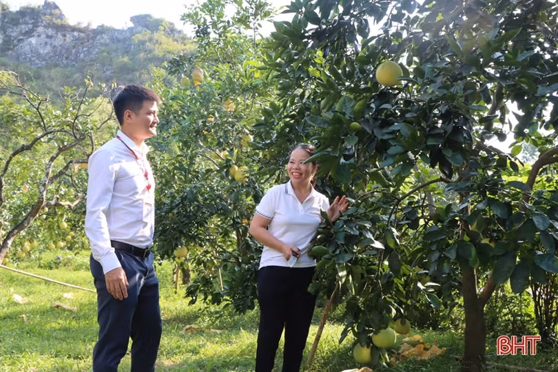 Agribank Hà Tĩnh II “đỡ đầu” nông dân làm giàu từ nông nghiệp