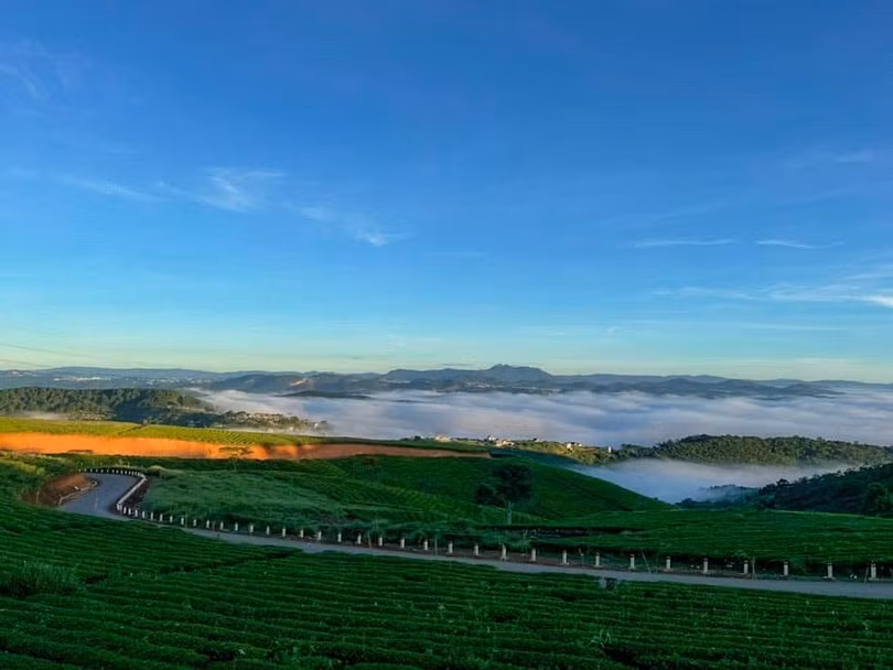 Đà Lạt cuối mùa săn mây