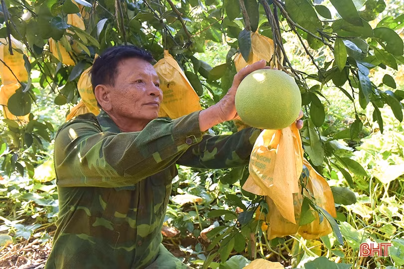 Đặc sản Hà Tĩnh gây thương nhớ...