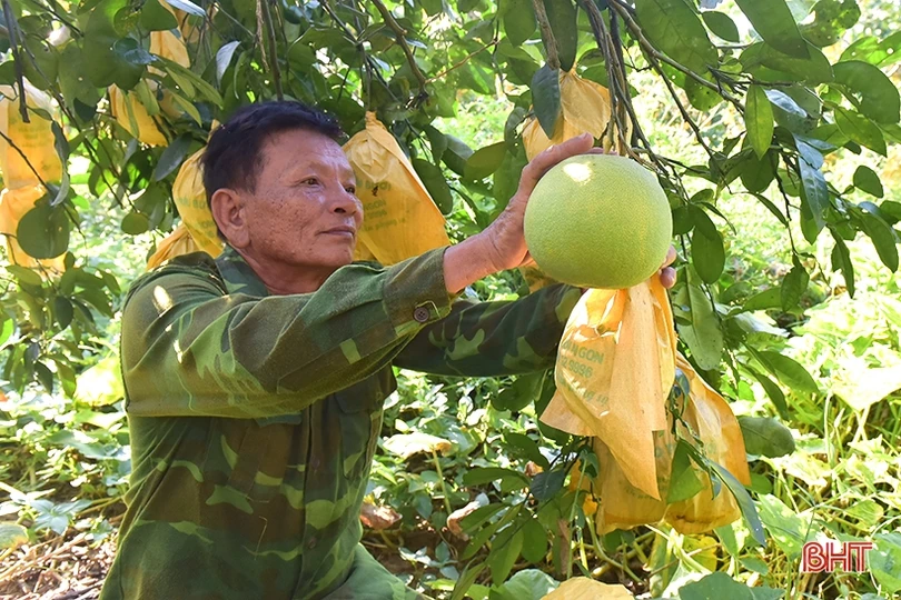 Đặc sản Hà Tĩnh gây thương nhớ...