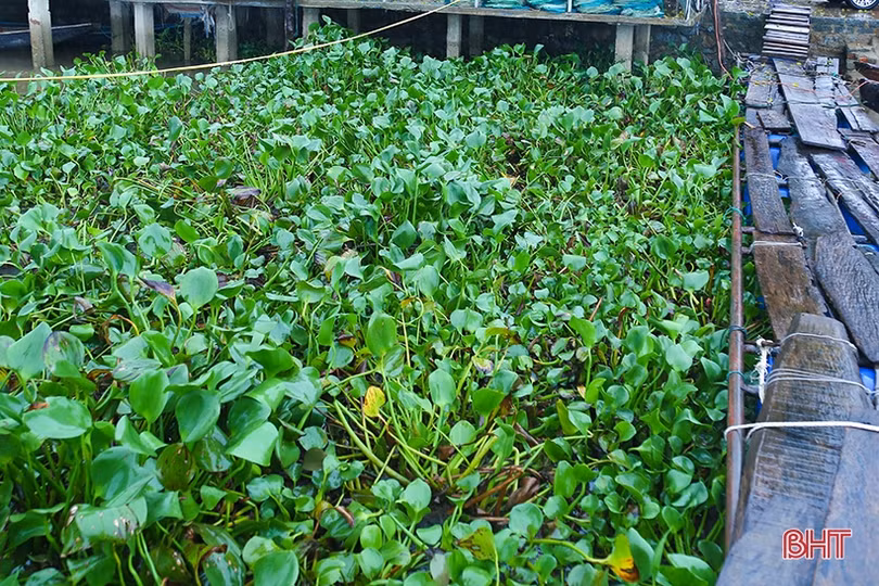 Người nuôi trồng thủy sản Hà Tĩnh gia cố lồng bè, ao nuôi phòng mưa to bão lớn