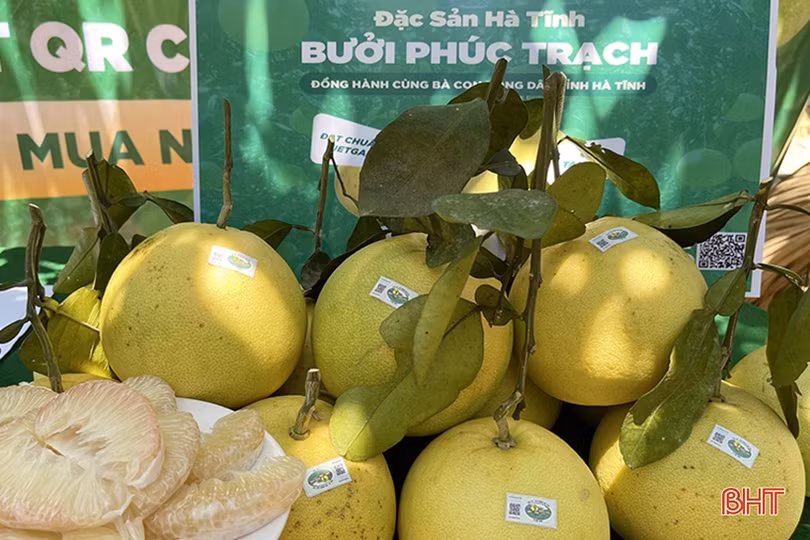 Ẩm thực Hà Tĩnh đậm đà phong vị quê hương