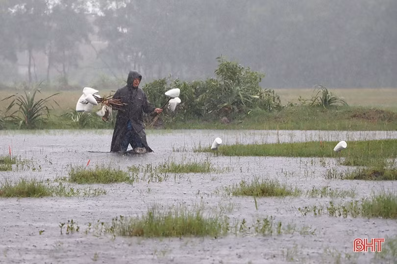 Công an Cẩm Xuyên “đội mưa” ra quân xử lý nạn săn bắt chim trời