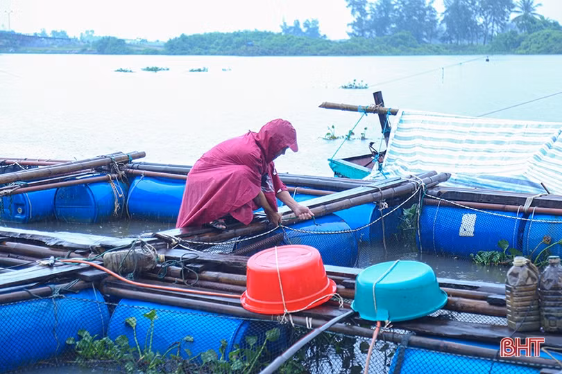 Tăng cường phòng chống rét trong nuôi trồng thủy sản ở Hà Tĩnh