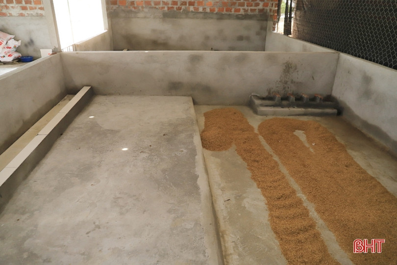 Nông dân Hương Sơn hợp tác với Tập đoàn Quế Lâm chăn nuôi lợn hữu cơ