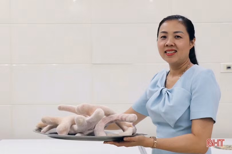 Đặc sản Hà Tĩnh gây thương nhớ...