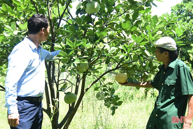 Đảng viên tiên phong trong giải phóng mặt bằng dự án cao tốc Bắc - Nam