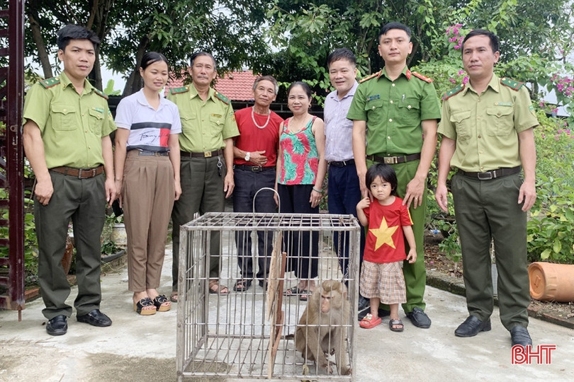 Bàn giao 3 cá thể khỉ quý hiếm cho Vườn Quốc gia Vũ Quang