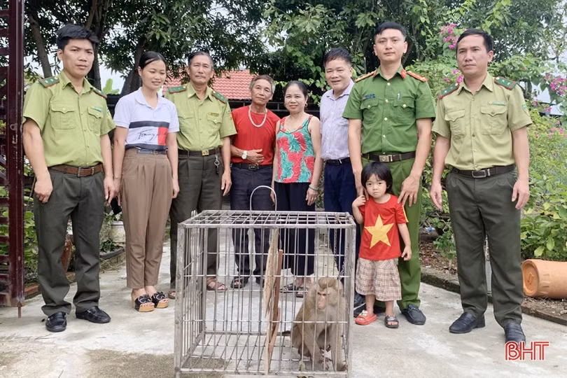 Bàn giao 3 cá thể khỉ quý hiếm cho Vườn Quốc gia Vũ Quang