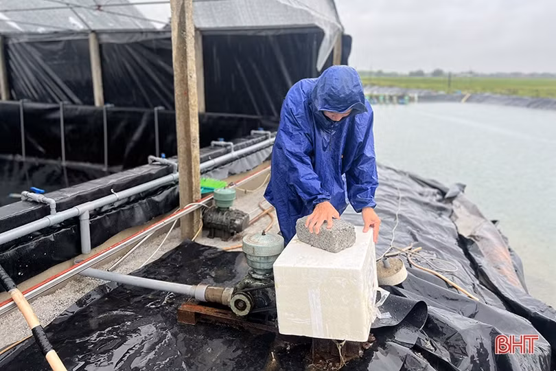 Người nuôi trồng thủy sản Hà Tĩnh gia cố lồng bè, ao nuôi phòng mưa to bão lớn