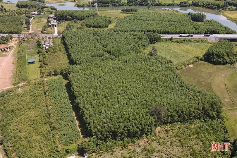 Kỹ lưỡng, bài bản trong chi trả kinh phí bồi thường GPMB dự án cao tốc Bắc – Nam ở Hà Tĩnh