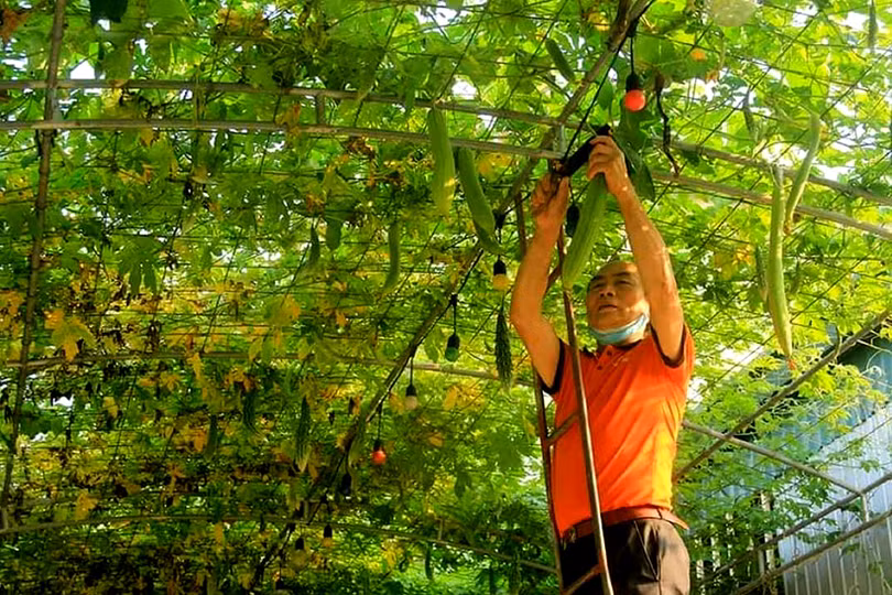 Lan tỏa phong trào nông dân sản xuất, kinh doanh giỏi ở Nghi Xuân