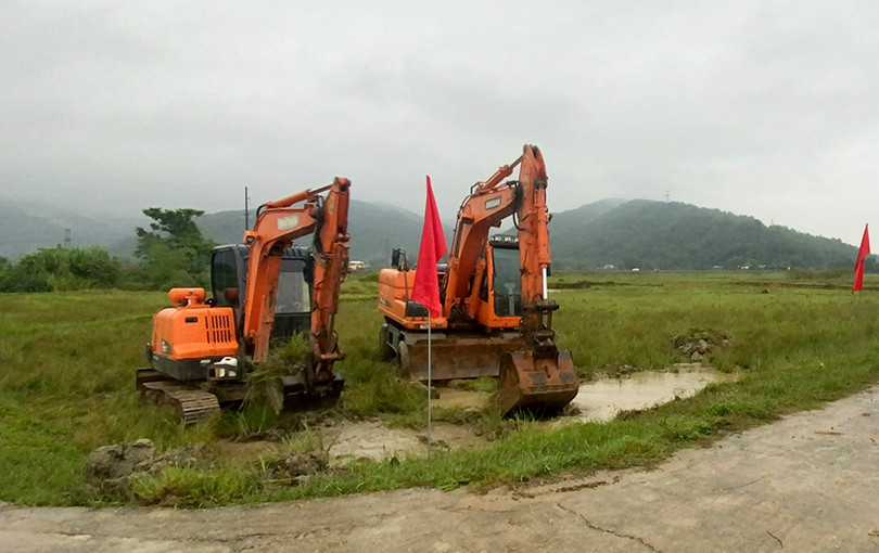 Xây dựng mô hình 10 ha trồng lúa hữu cơ kết hợp nuôi rươi, cáy ven sông Lam ở Nghi Xuân