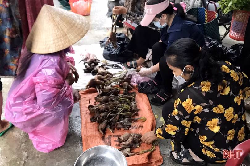 Mưa xuống, “chim trời” lại được bày bán công khai ở Cẩm Xuyên