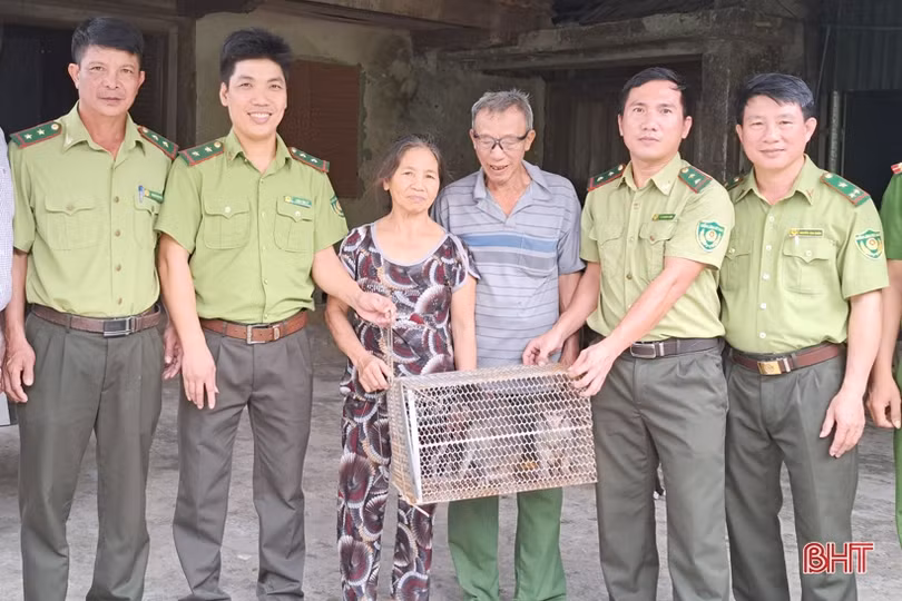 Bàn giao 3 cá thể khỉ quý hiếm cho Vườn Quốc gia Vũ Quang