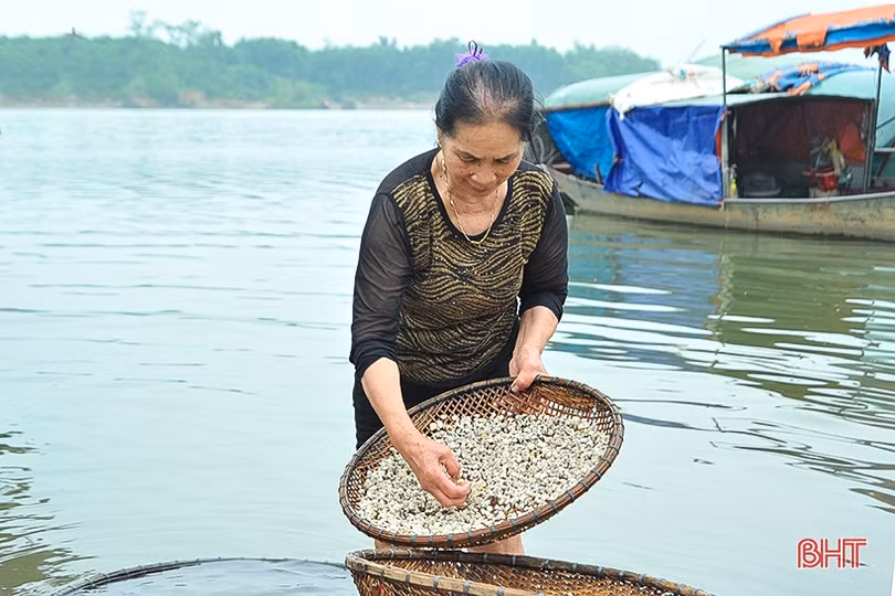 Đặc sản Hà Tĩnh gây thương nhớ...