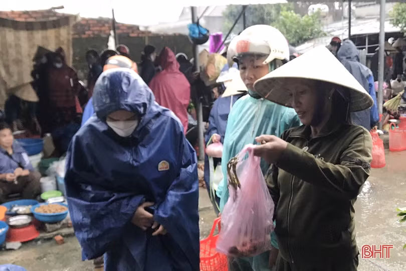 Mưa xuống, “chim trời” lại được bày bán công khai ở Cẩm Xuyên