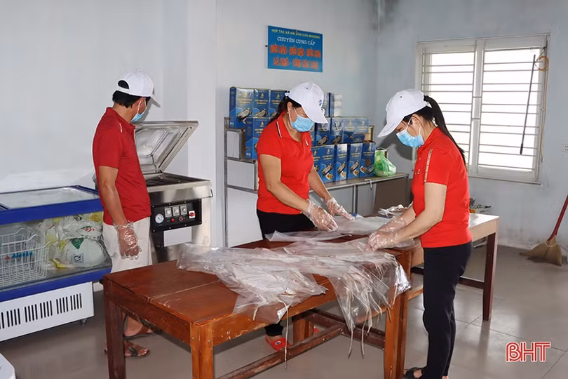 Đặc sản mực một nắng Cửa Nhượng và hành trình vươn tới OCOP 3 sao