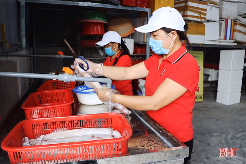 Đặc sản mực một nắng Cửa Nhượng và hành trình vươn tới OCOP 3 sao