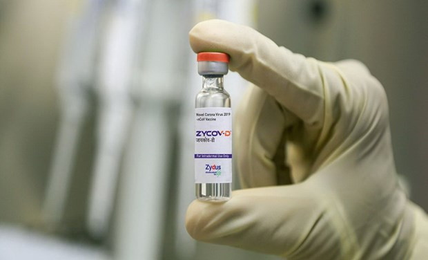 Ấn Độ phê duyệt khẩn cấp vaccine bằng công nghệ ADN đầu tiên thế giới hình ảnh 1 Ấn Độ phê duyệt khẩn cấp vaccine bằng công nghệ ADN đầu tiên thế giới