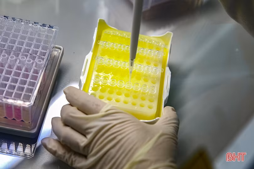 CDC Hà Tĩnh nối dài những “đêm trắng” tìm COVID-19