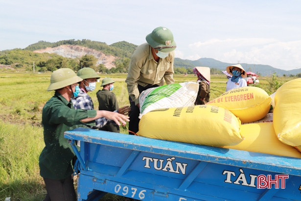 Nghi Xuân có xã dự kiến thu hoạch xong lúa hè thu trước hạn hơn nửa tháng