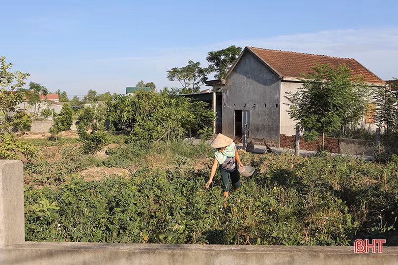 Xã Tùng Lộc ngày đầu thực hiện cách ly y tế: Đường vắng vẻ, người dân ở yên trong nhà
