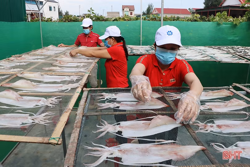 Đặc sản mực một nắng Cửa Nhượng và hành trình vươn tới OCOP 3 sao