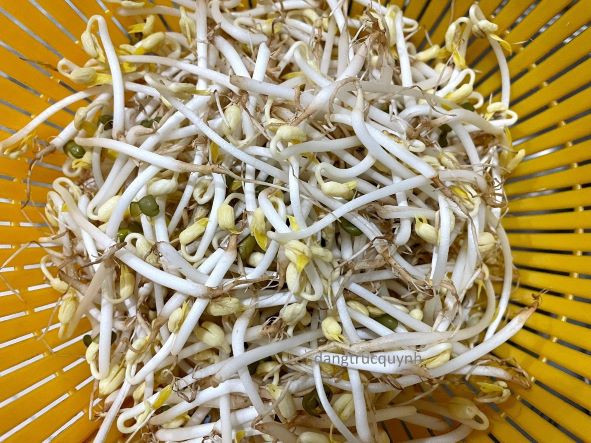 Nếu bạn thích ăn giá đỗ mà không biết cách ủ giá thì phải đọc ngay ảnh 3 Nếu bạn thích ăn giá đỗ mà không biết cách ủ giá thì phải đọc ngay