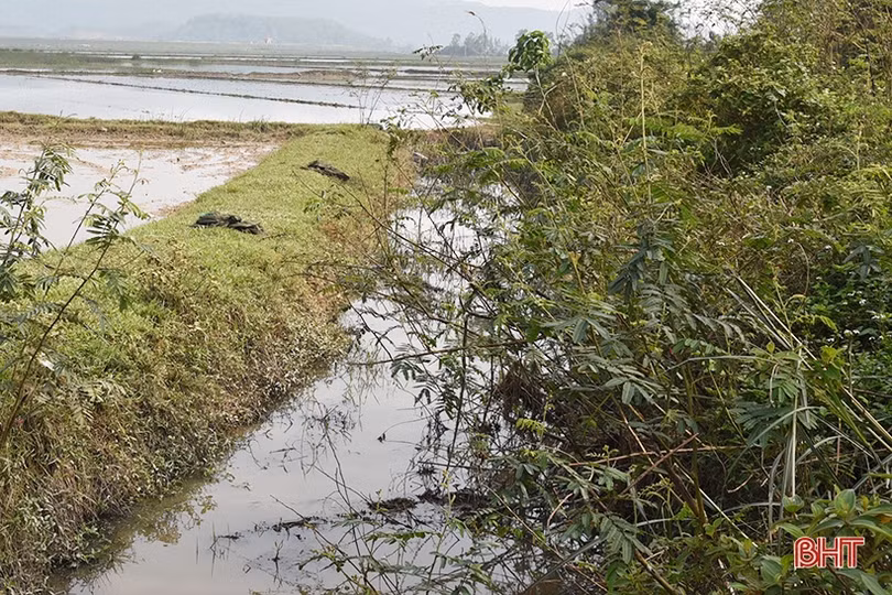 Hạ tầng phục vụ sản xuất nông nghiệp ở Tân Lộc “kêu cứu”!