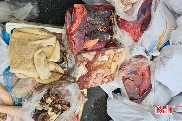 Hà Tĩnh: Phát hiện 3,2 tấn thực phẩm bẩn trên đường vào Nam tiêu thụ