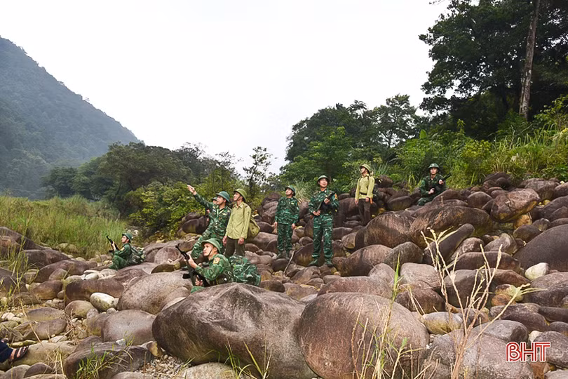 UBND tỉnh chỉ đạo tăng cường quản lý, bảo vệ rừng trước, trong và sau Tết Nguyên đán