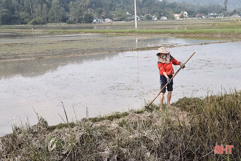 Hạ tầng phục vụ sản xuất nông nghiệp ở Tân Lộc “kêu cứu”!