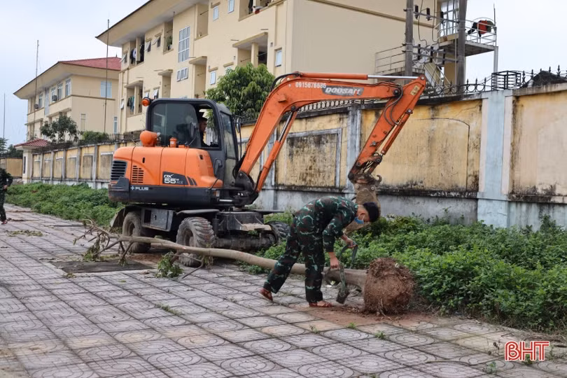 TP Hà Tĩnh tạo cảnh quan môi trường cho tuyến đường vành đai đô thị Bắc