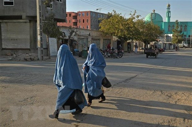 LHQ quan ngại về lệnh cấm mới của Taliban đối với phụ nữ hình ảnh 1 LHQ quan ngại về lệnh cấm mới của Taliban đối với phụ nữ